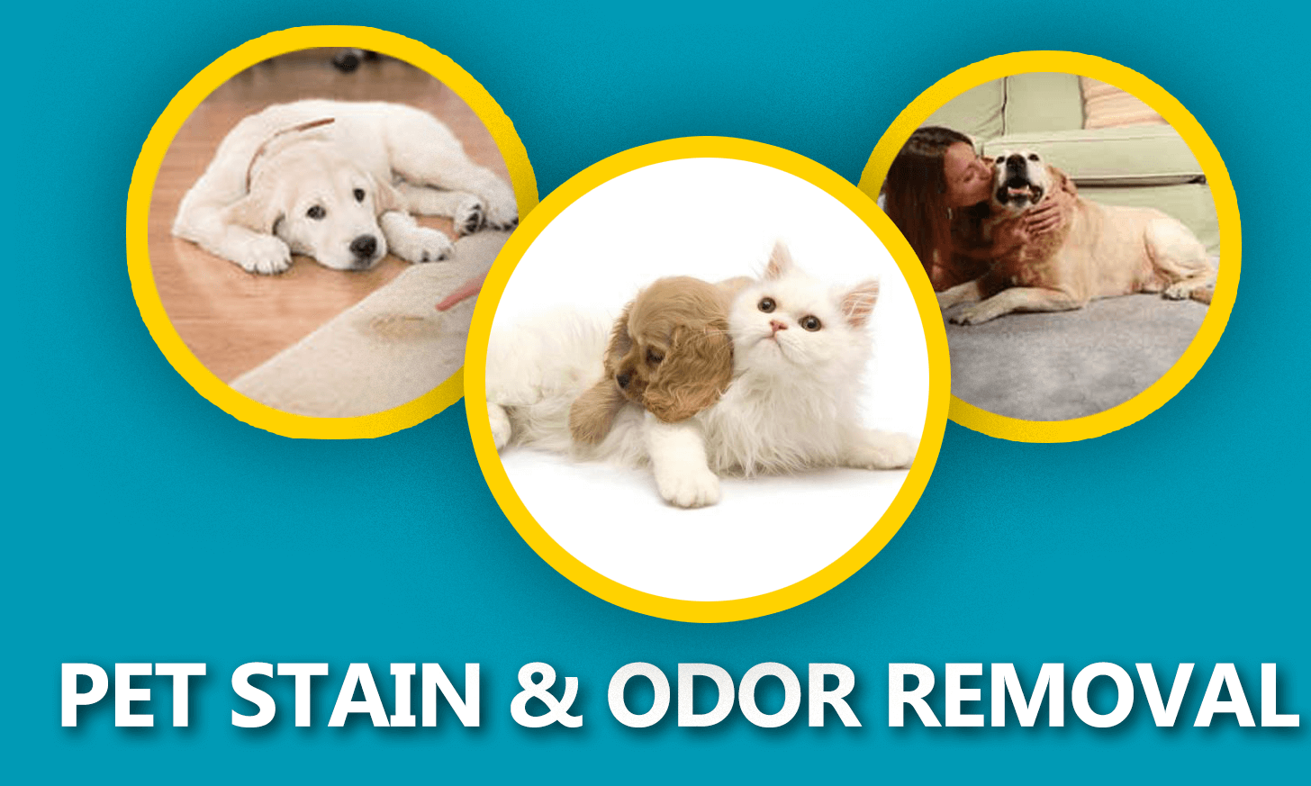 Pet Stain and Pet Odor Cleaning