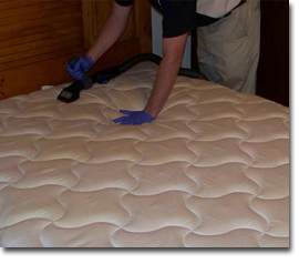 mattress expert cleaning