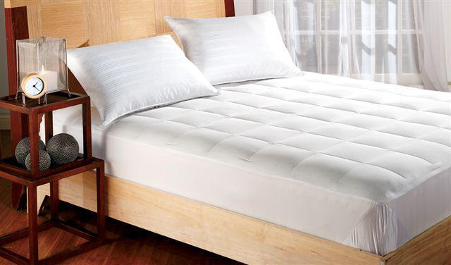 bed bug mattress cleaning